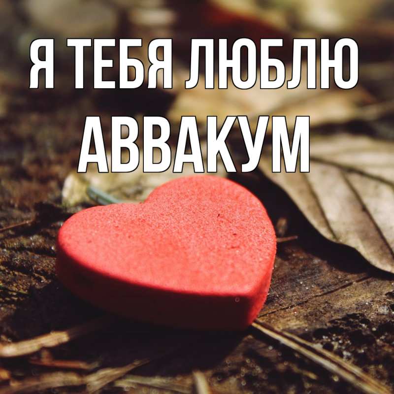 Картинка Я тебя люблю, Аввакум