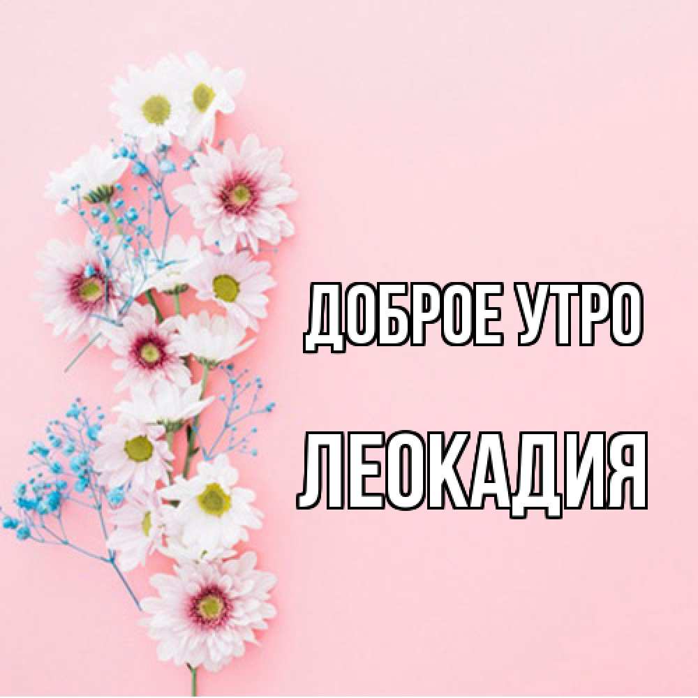 Открытка на каждый день с именем, Леокадия Доброе утро цветы с подписью Прикольная открытка с пожеланием онлайн скачать бесплатно 