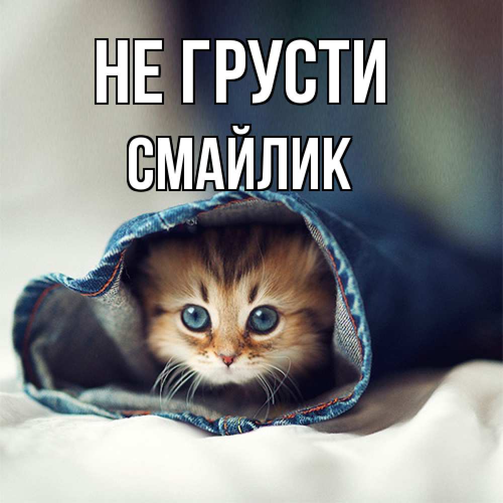 Открытка на каждый день с именем, Смайлик Не грусти рыжик котик Прикольная открытка с пожеланием онлайн скачать бесплатно 