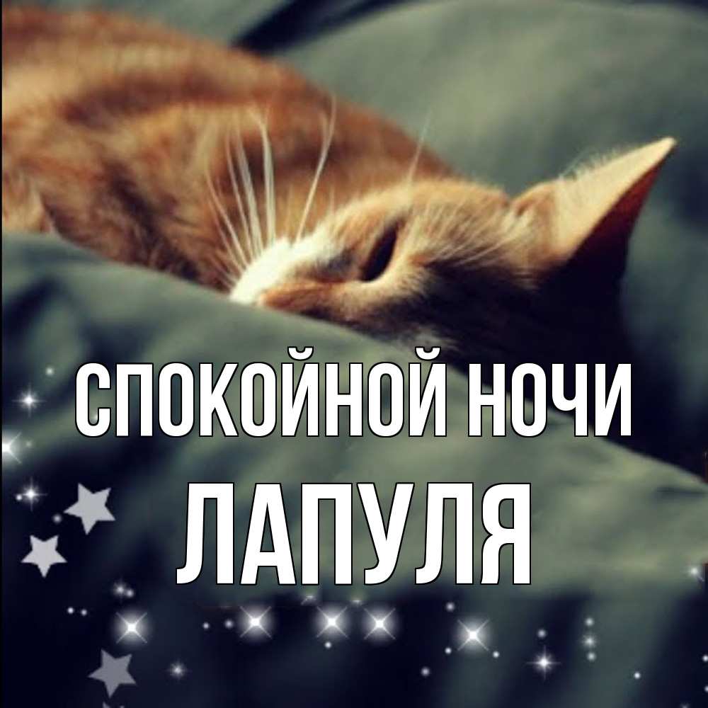 Открытка на каждый день с именем, Лапуля Спокойной ночи кроватка Прикольная открытка с пожеланием онлайн скачать бесплатно 