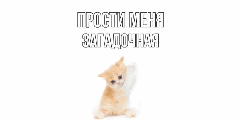 Картинка Прости меня, загадочная