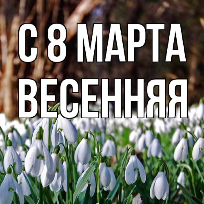 Картинка C 8 МАРТА, Весенняя