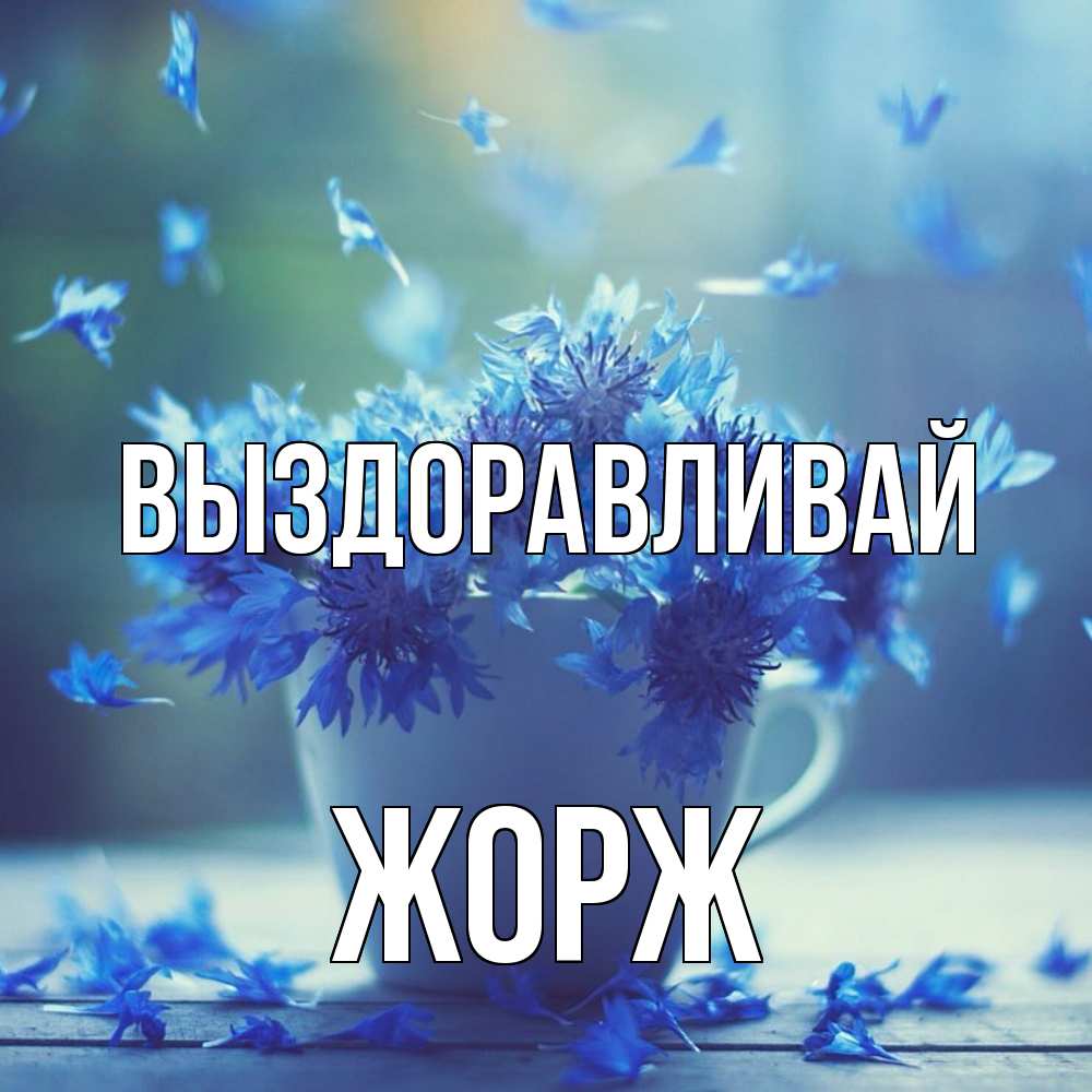 Открытка на каждый день с именем, Жорж Выздоравливай кружка с зельем и цветами Прикольная открытка с пожеланием онлайн скачать бесплатно 