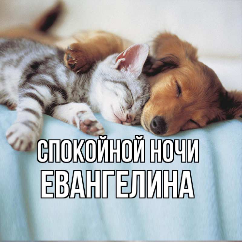 Открытка с именем, Евангелина, Спокойной ночи
