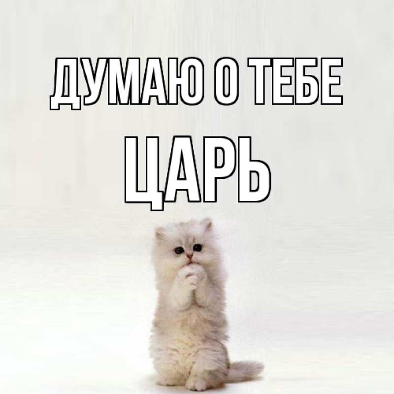 Картинка Думаю о тебе, Царь