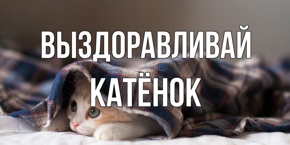 Открытка на каждый день с именем, Катёнок Выздоравливай не болейте с котиком Прикольная открытка с пожеланием онлайн скачать бесплатно 