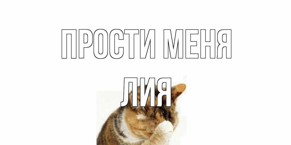 Открытка на каждый день с именем, Лия Прости меня кот Прикольная открытка с пожеланием онлайн скачать бесплатно 