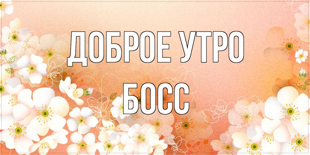 Открытка на каждый день с именем, Босс Доброе утро доброе утро с цветами Прикольная открытка с пожеланием онлайн скачать бесплатно 