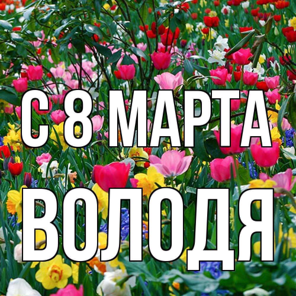 Открытка на каждый день с именем, Володя C 8 МАРТА с международным женским днем поздравления для женщины Прикольная открытка с пожеланием онлайн скачать бесплатно 