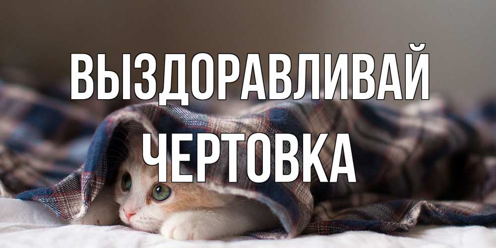 Открытка на каждый день с именем, Чертовка Выздоравливай не болейте с котиком Прикольная открытка с пожеланием онлайн скачать бесплатно 