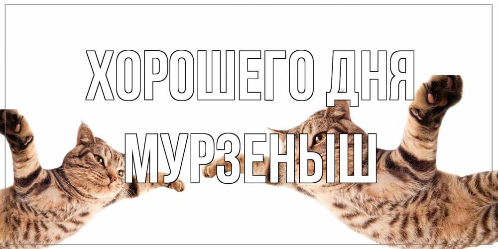 Открытка на каждый день с именем, мурзеныш Хорошего дня хорошего дня Прикольная открытка с пожеланием онлайн скачать бесплатно 