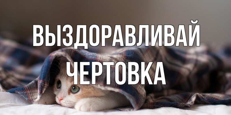 Картинка Выздоравливай, Чертовка