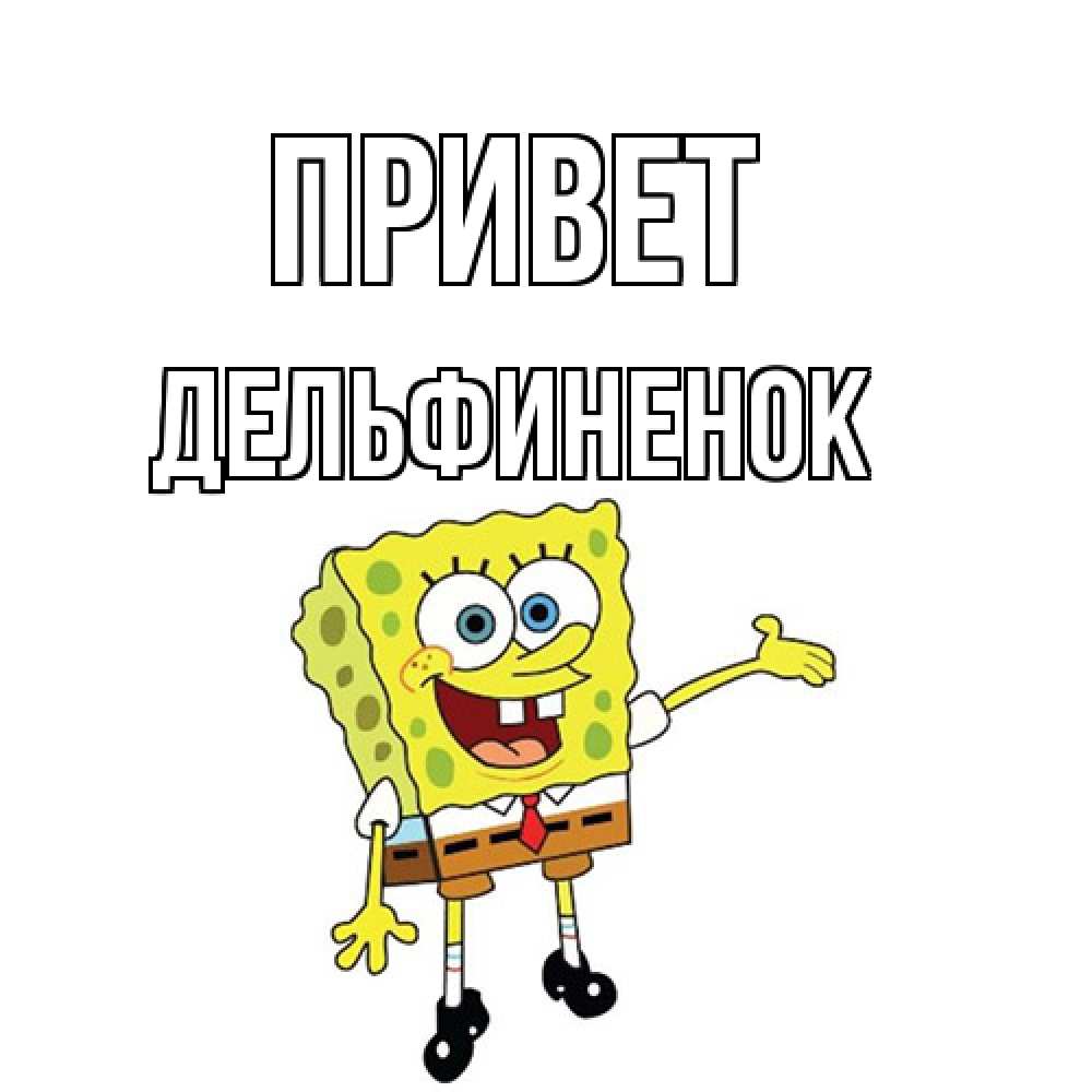 Открытка на каждый день с именем, дельфиненок Привет спанч Боб на позитиве Прикольная открытка с пожеланием онлайн скачать бесплатно 