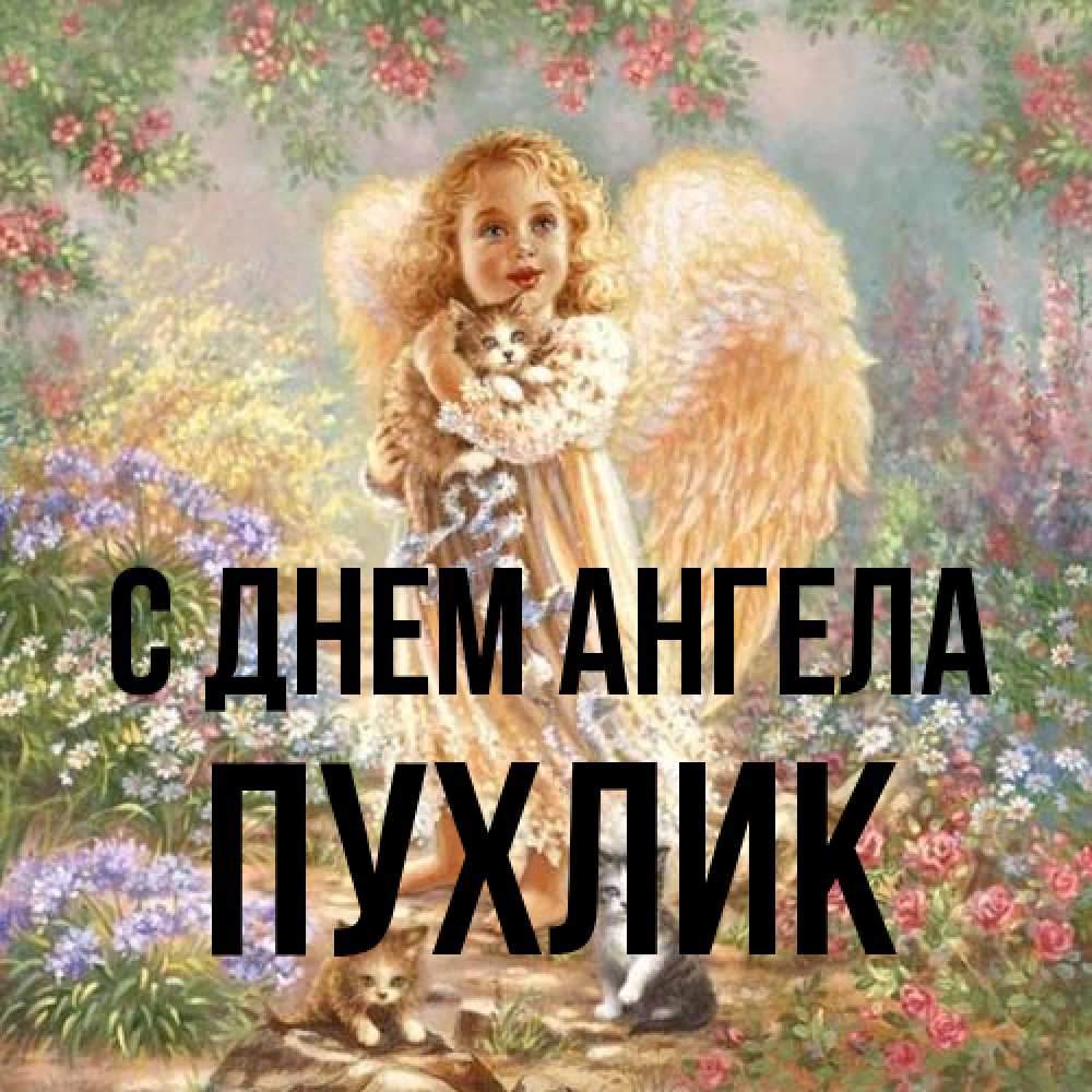 Открытка на каждый день с именем, пухлик С днем ангела держит котенка Прикольная открытка с пожеланием онлайн скачать бесплатно 