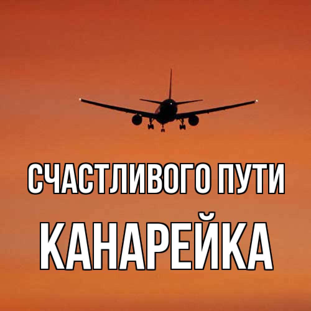 Открытка на каждый день с именем, Канарейка Счастливого пути силуэт самолета Прикольная открытка с пожеланием онлайн скачать бесплатно 