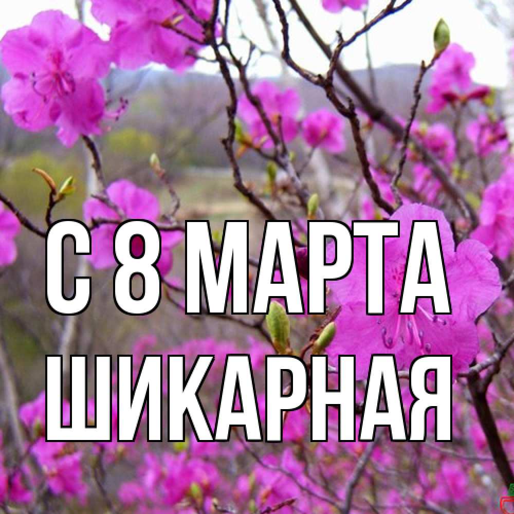 Открытка на каждый день с именем, шикарная C 8 МАРТА международный женский день Прикольная открытка с пожеланием онлайн скачать бесплатно 