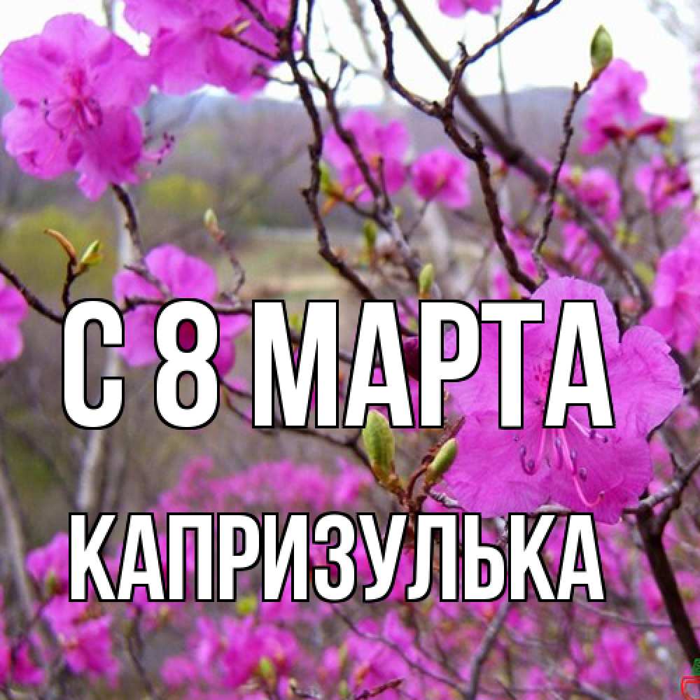 Открытка на каждый день с именем, капризулька C 8 МАРТА международный женский день Прикольная открытка с пожеланием онлайн скачать бесплатно 