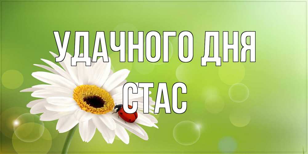 Открытка на каждый день с именем, Стас Удачного дня зеленый фон и ромашка Прикольная открытка с пожеланием онлайн скачать бесплатно 