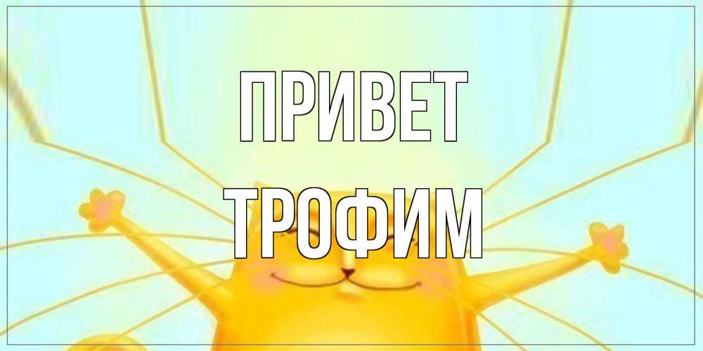 Открытка на каждый день с именем, Трофим Привет кот Прикольная открытка с пожеланием онлайн скачать бесплатно 