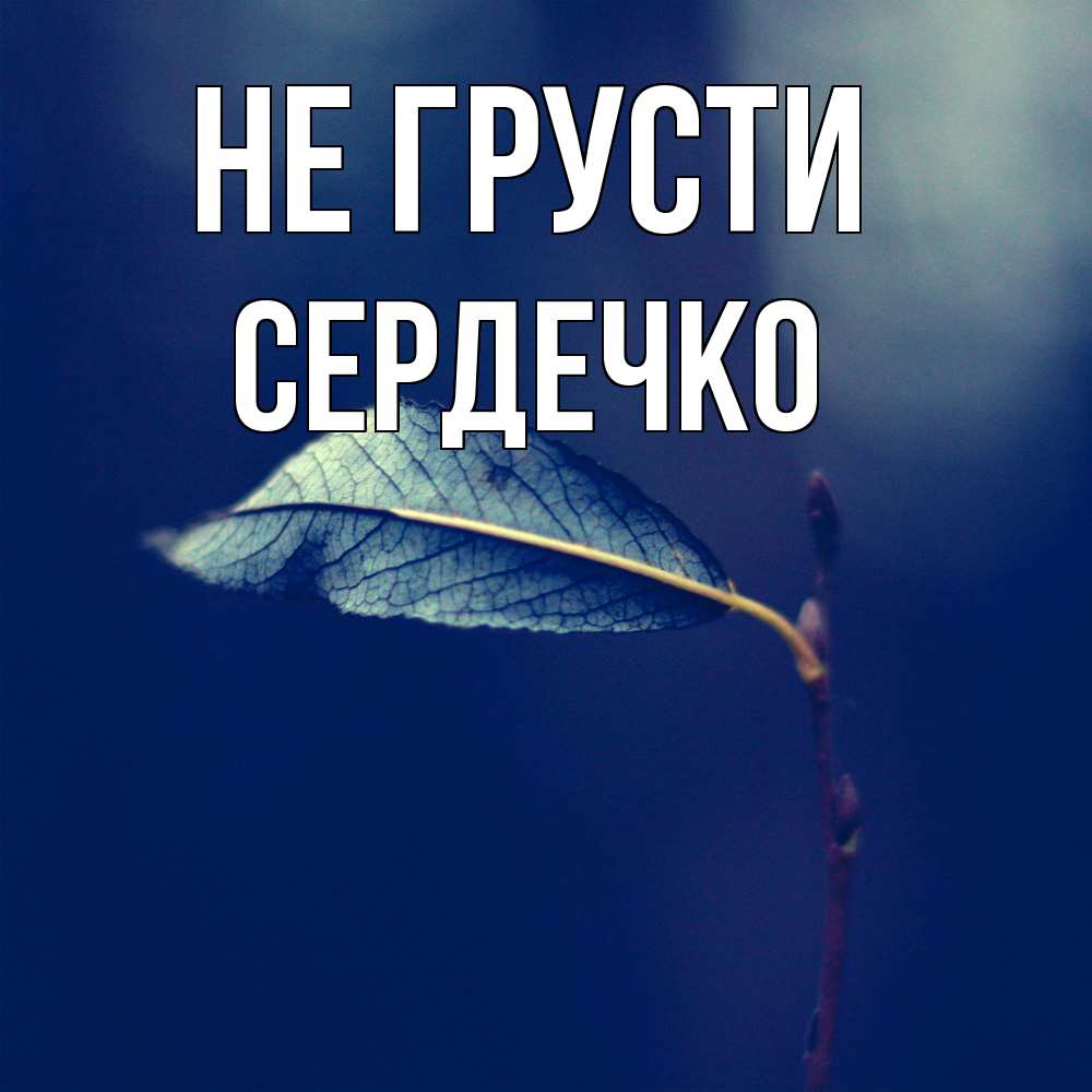 Открытка на каждый день с именем, сердечко Не грусти растение Прикольная открытка с пожеланием онлайн скачать бесплатно 