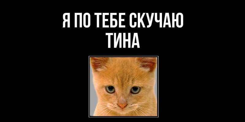Картинка Я по тебе скучаю, Тина
