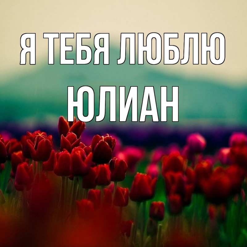 Картинка Я тебя люблю, Юлиан