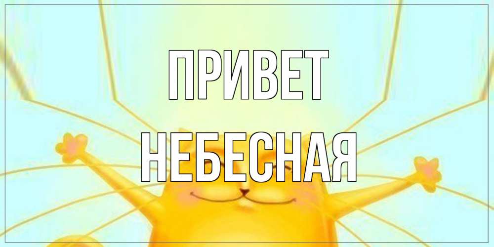 Открытка на каждый день с именем, небесная Привет кот Прикольная открытка с пожеланием онлайн скачать бесплатно 