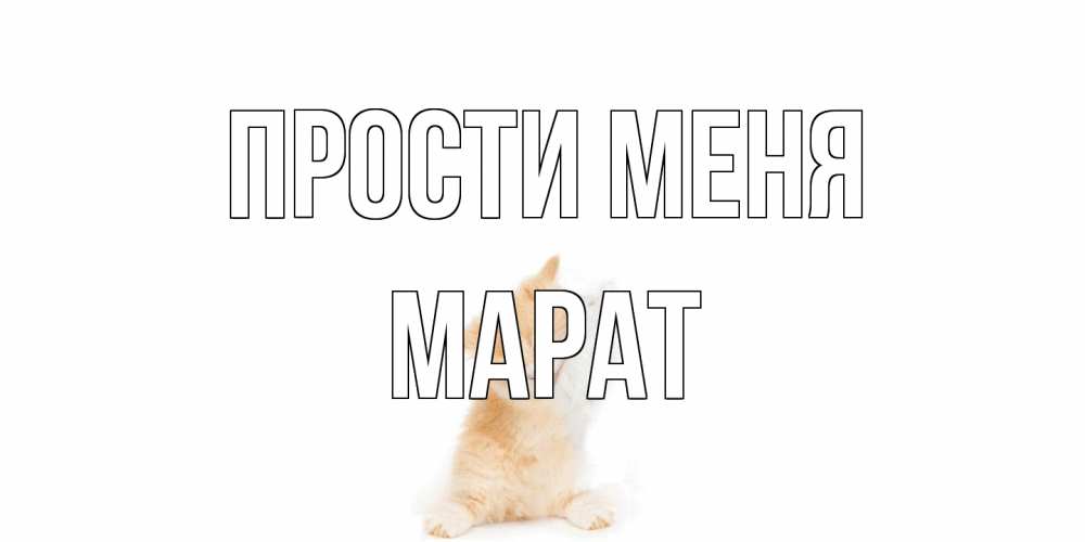 Открытка на каждый день с именем, Марат Прости меня кот Прикольная открытка с пожеланием онлайн скачать бесплатно 