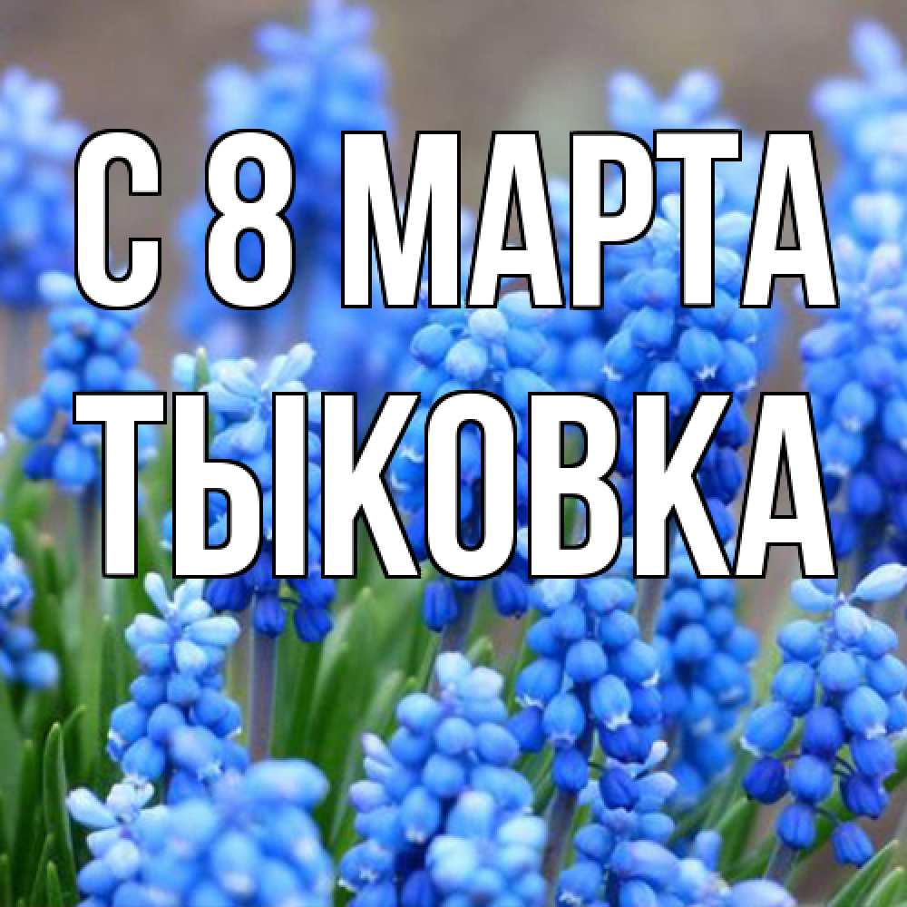 Открытка на каждый день с именем, тыковка C 8 МАРТА Поздравительная открытка для женщин с цветами на праздничную дату Прикольная открытка с пожеланием онлайн скачать бесплатно 