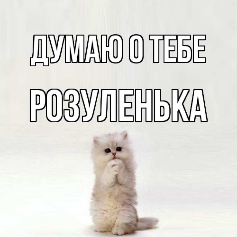 Картинка Думаю о тебе, Розуленька