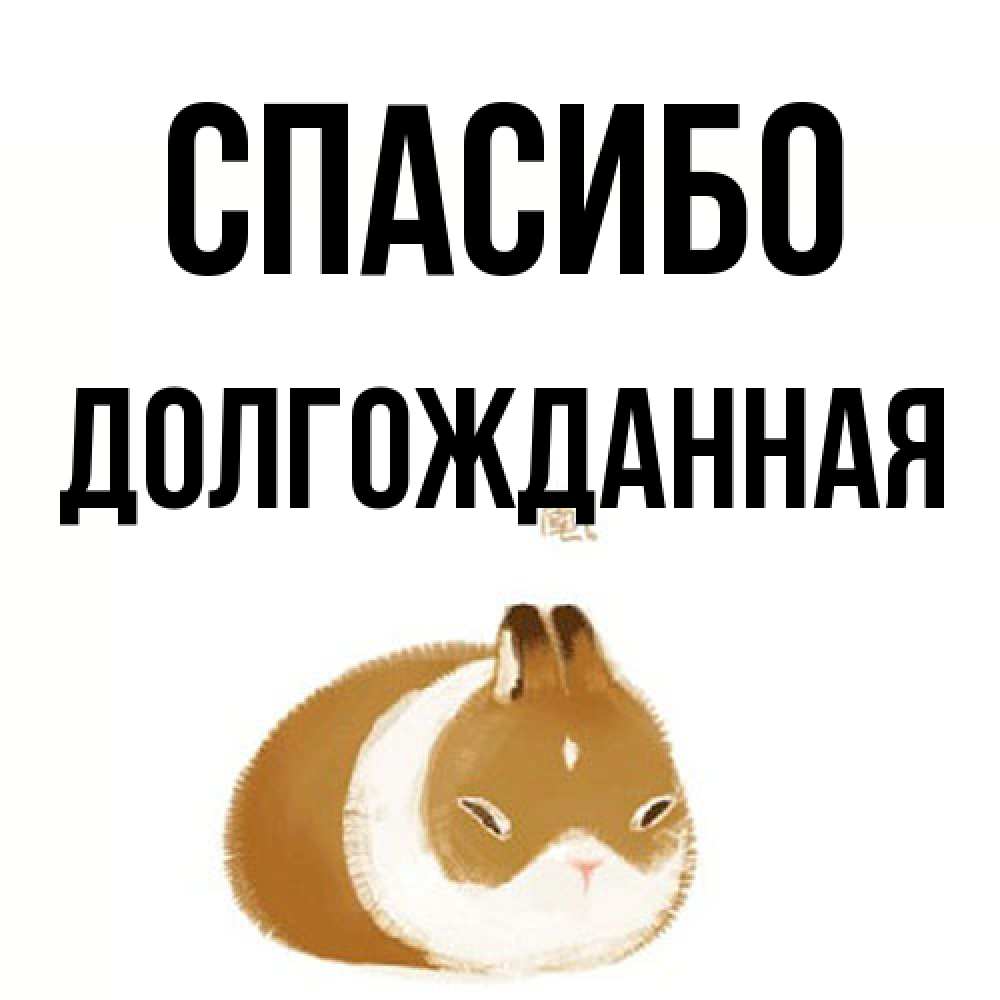 Открытка на каждый день с именем, Долгожданная Спасибо коричнево белый домашний питомец Прикольная открытка с пожеланием онлайн скачать бесплатно 
