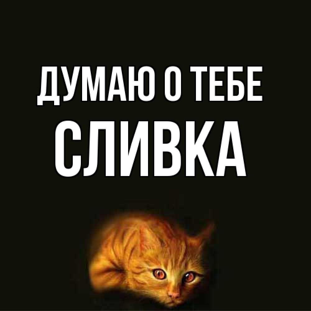 Открытка на каждый день с именем, Сливка Думаю о тебе рыжий Прикольная открытка с пожеланием онлайн скачать бесплатно 