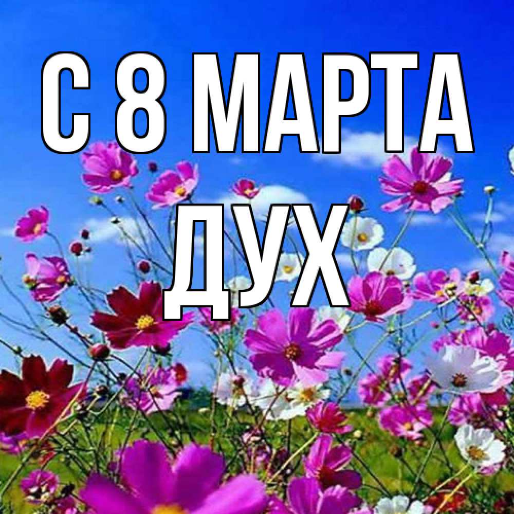 Открытка на каждый день с именем, Дух C 8 МАРТА цветы Прикольная открытка с пожеланием онлайн скачать бесплатно 