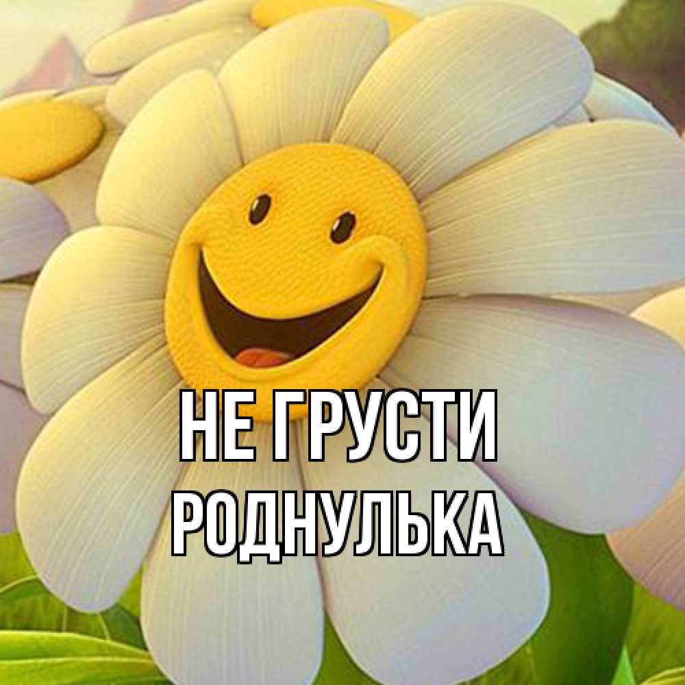 Открытка на каждый день с именем, Роднулька Не грусти огромная улыбающаяся ромашуща Прикольная открытка с пожеланием онлайн скачать бесплатно 