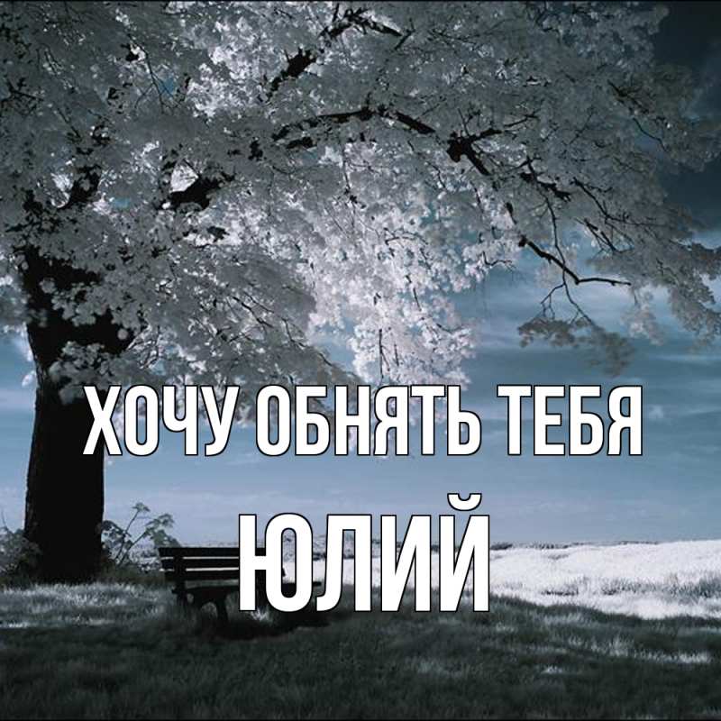 Картинка Хочу обнять тебя, Юлий