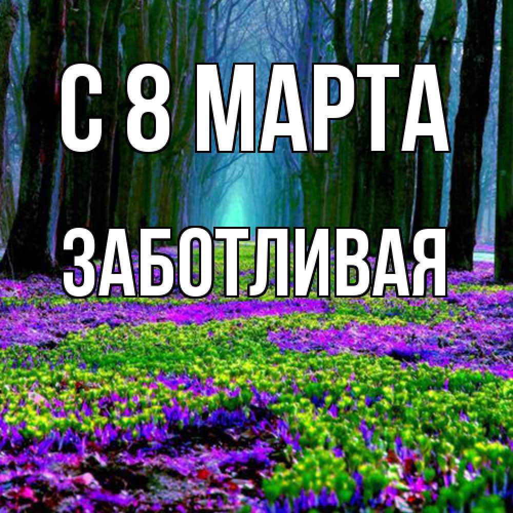 Открытка на каждый день с именем, Заботливая C 8 МАРТА фиолетовые цветы в лесу 1 Прикольная открытка с пожеланием онлайн скачать бесплатно 