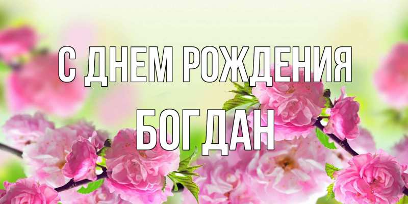 Картинка С днем рождения, Богдан