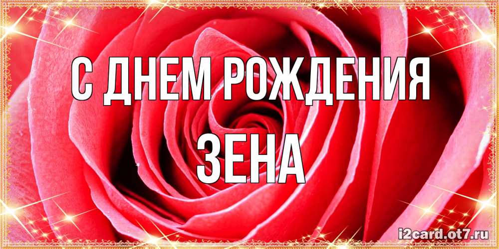 Открытка на каждый день с именем, Зена С днем рождения розовая роза очень крупный бутон Прикольная открытка с пожеланием онлайн скачать бесплатно 