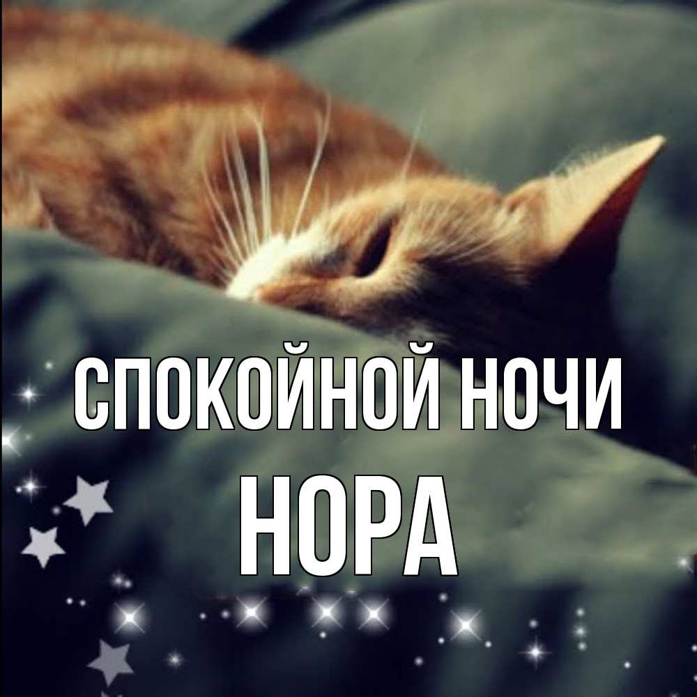 Открытка на каждый день с именем, Нора Спокойной ночи кроватка Прикольная открытка с пожеланием онлайн скачать бесплатно 