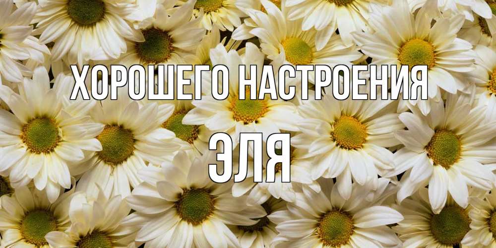 Открытка на каждый день с именем, Эля Хорошего настроения крупные ромашки Прикольная открытка с пожеланием онлайн скачать бесплатно 