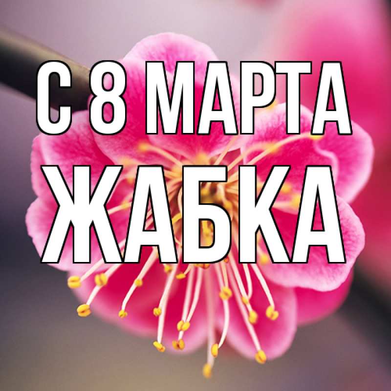 Картинка C 8 МАРТА, Жабка