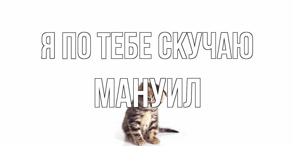 Открытка на каждый день с именем, Мануил Я по тебе скучаю кот Прикольная открытка с пожеланием онлайн скачать бесплатно 