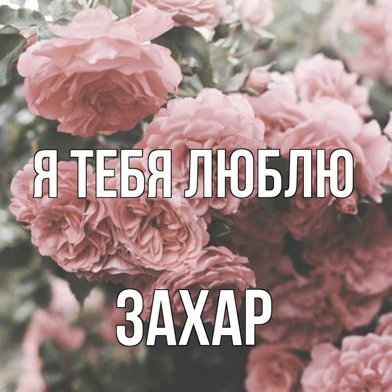 Картинка Я тебя люблю, Захар