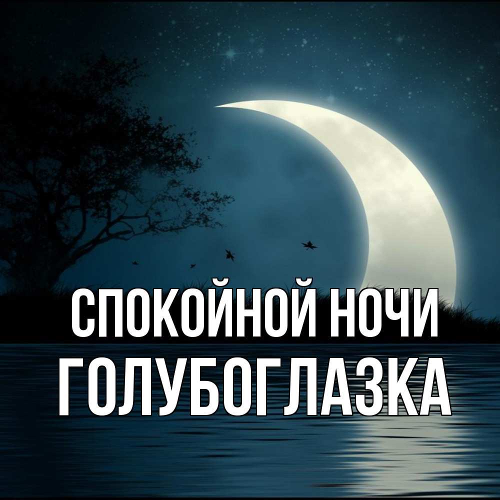 Открытка на каждый день с именем, Голубоглазка Спокойной ночи вода Прикольная открытка с пожеланием онлайн скачать бесплатно 