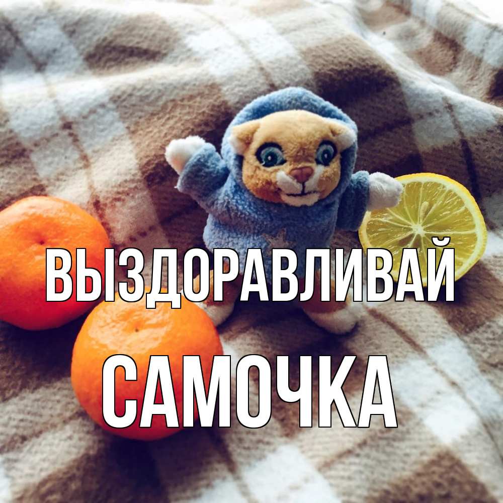 Открытка на каждый день с именем, Самочка Выздоравливай вот тебе апельсинка и лимон Прикольная открытка с пожеланием онлайн скачать бесплатно 