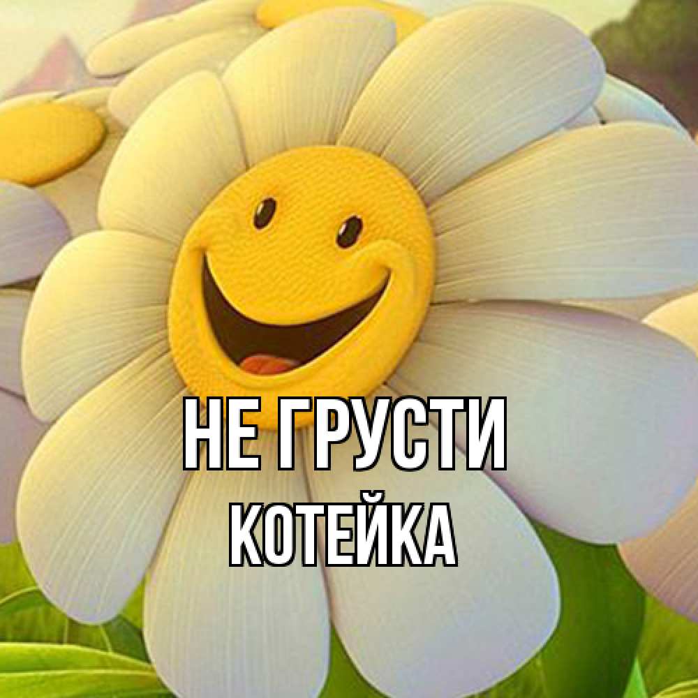 Открытка на каждый день с именем, Котейка Не грусти огромная улыбающаяся ромашуща Прикольная открытка с пожеланием онлайн скачать бесплатно 