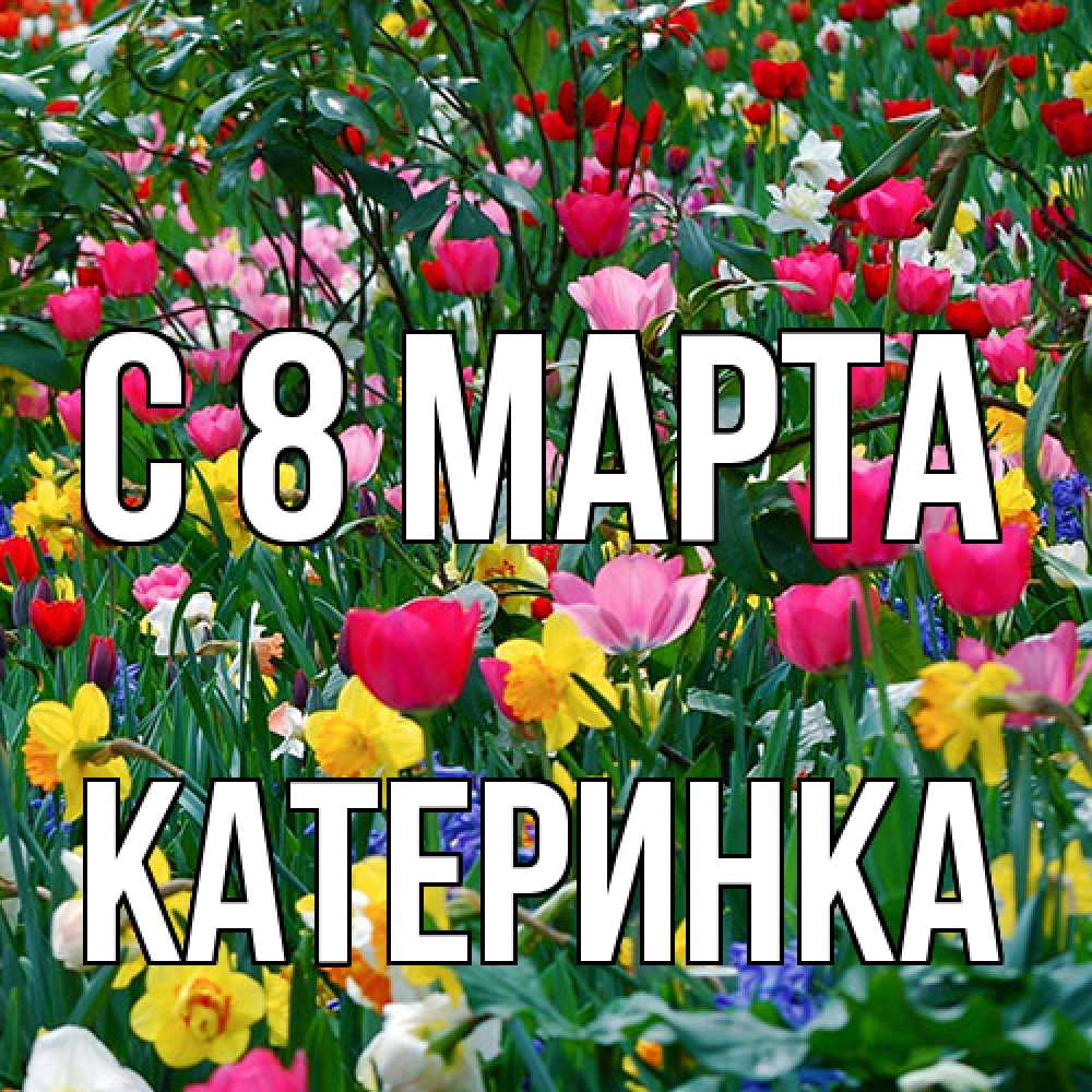 Открытка на каждый день с именем, Катеринка C 8 МАРТА с международным женским днем поздравления для женщины Прикольная открытка с пожеланием онлайн скачать бесплатно 