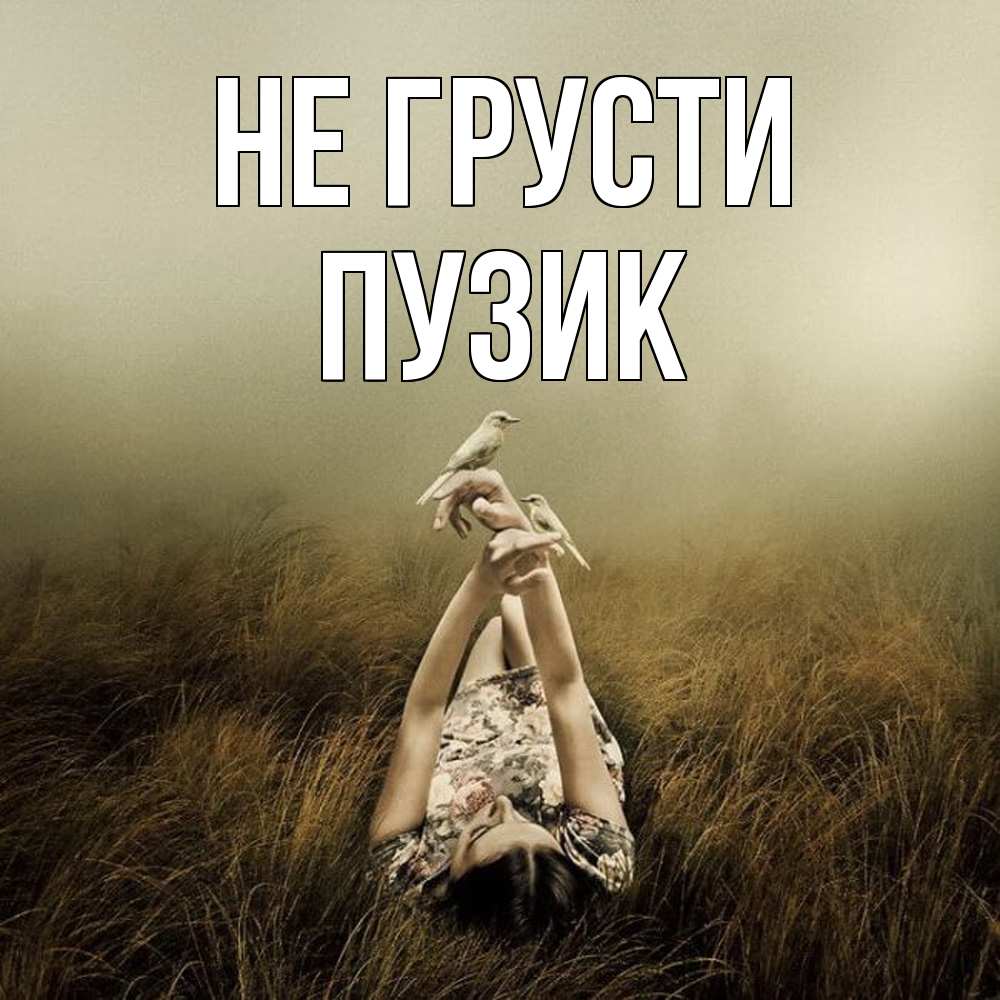 Открытка на каждый день с именем, Пузик Не грусти поле и туман Прикольная открытка с пожеланием онлайн скачать бесплатно 
