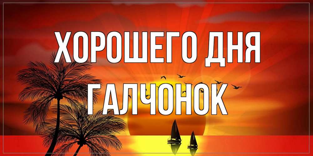 Открытка на каждый день с именем, галчонок Хорошего дня открытки с пожеланиями хорошего дня Прикольная открытка с пожеланием онлайн скачать бесплатно 