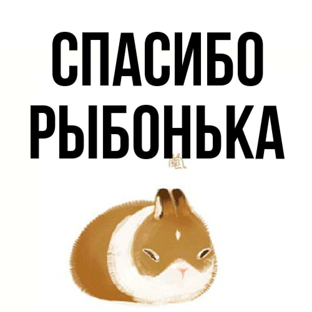 Открытка на каждый день с именем, Рыбонька Спасибо коричнево белый домашний питомец Прикольная открытка с пожеланием онлайн скачать бесплатно 